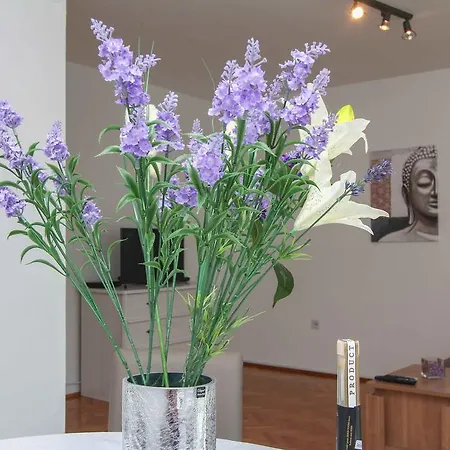 The West Coast Gasthuis Split