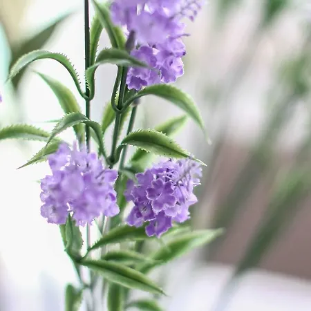 Gasthuis The West Coast