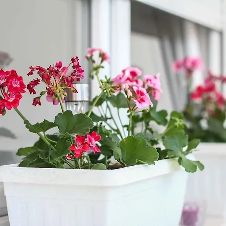 The West Coast Gasthuis