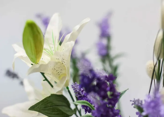 The West Coast بيت ضيافة سبليت