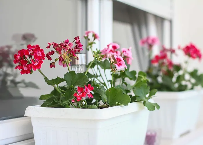 The West Coast بيت ضيافة